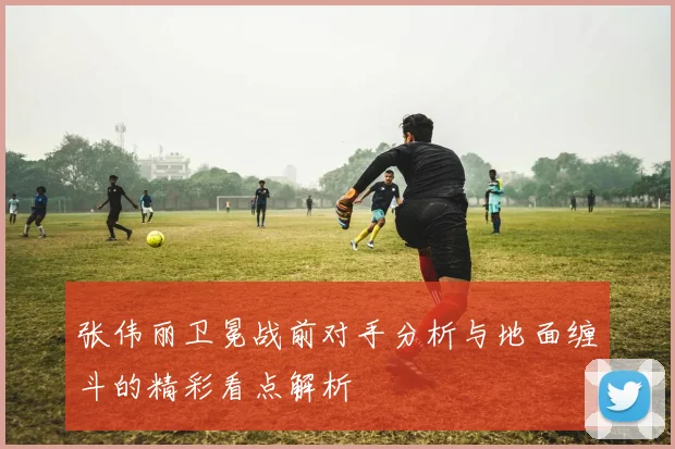 张伟丽卫冕战前对手分析与地面缠斗的精彩看点解析